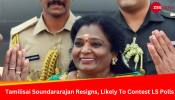 Telangana Governor Resigns, Likely To Contest Tamil Nadu Lok Sabha Polls On BJP Ticket: Sources