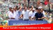 Rahul Gandhi Launches Poll Drive In Wayanad; EC Searches Congress Leader&#039;s Chopper In Tamil Nadu  