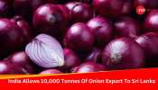 India Allows 10,000 Tonnes Of Onion Export To Sri Lanka, UAE