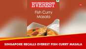 Singapore Recalls India&#039;s Everest Fish Curry Masala Over Presence Of Ethylene Oxide Pesticide