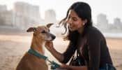 National Pet Parents Day 2024: 5 Essential Tips To Keep In Mind While Adopting A Dog