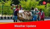 Weather Update: IMD Alerts For Heat Wave In Bihar, Odisha, Check Forecast For All States Here