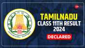TN Class 11th Result 2024: TN HSE+1 Declared At tnresults.nic.in- Check Direct Link, Pass Percentage Here