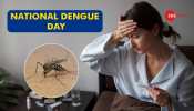 National Dengue Day: Symptoms, Preventions And Steps To Manage Dengue Fever