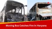 8 Dead, Several Injured As Moving Bus Catches Fire In Haryana&#039;s Nuh