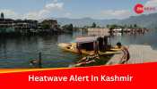 Heat Wave Alert In Kashmir: Fruit Crops Suffer As Climate Change Impacts Valley