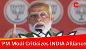 INDIA Bloc Wants Votes To Remove CAA, Allow Entry Of Infiltrators: PM Modi At Bihar rally