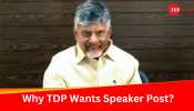 TDP Wants Lok Sabha Speaker Post? Know Why It Is Important