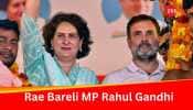 Rahul Gandhi Retains Rae Bareli Lok Sabha Seat; Priyanka Gandhi To Contest From Wayanad In Kerala