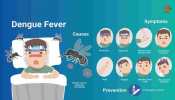 Dengue: Effective Strategies Of Protection From Dengue Fever
