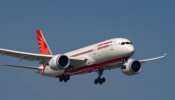 &#039;Fast Unto Relieved&#039;: Air India Passenger Refuses Free Food, Beverages During 6-Hour-Long Journey; Gets Arrested