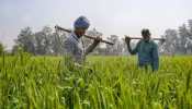 India Implementing World’s Largest Food-Based Safety Net Programmes: Minister