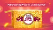 The Great Indian Festival Sale: Pet Grooming Products Under Rs.1000