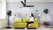 The Great Indian Festival Sale: Top Ceiling Fans For Home 