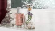 Smell Amazing Everyday: Top 4 Best Affordable Perfumes