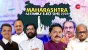 Maharashtra Assembly Election 2024 Dates, Phase, Voting Time, Other Details