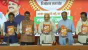 Maharashtra: After Ladki Bahin, BJP&#039;s Another BIG Poll Promise For Women Voters In Manifesto