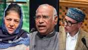 J&amp;K News: Mehbooba Mufti, Oppn Seek National Conference&#039;s Clarification On Article 370 Resolution After Kharge&#039;s Remarks