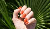 Glam Up Your Nails With Top Brand Nail Paints On Myntra