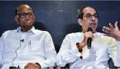 After Maharashtra Poll Debacle, What Lies In Future For Uddhav Thackeray, Sharad Pawar?