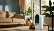 Best Air Purifiers for Black Friday: Up to 40% Off