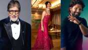 Republic Day 2025: Amitabh Bachchan, Priyanka Chopra, Allu Arjun And Other Celebs Extended Heartfelt Wishes