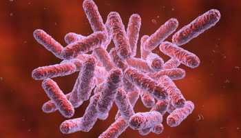 Chinese scientists create super bacterium which may spark superhuman race