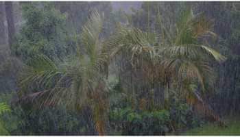 Arctic sea ice loss causes extreme rainfalls in India, suggests research