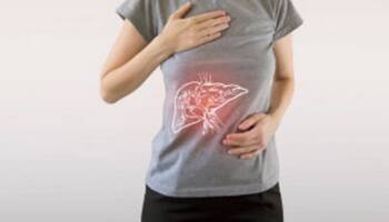 Artificial sweeteners impair liver's ability to detoxify: Study