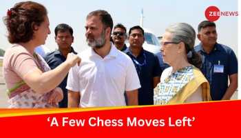 'Experienced Player Of Chess': Congress Leaders Defend Rahul Gandhi's Rae Bareli Bid; Hint At Bypoll Contest For Priyanka