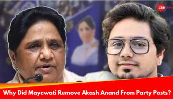 Why Did Mayawati Remove Nephew Akash Anand From Party Posts, Her Successor?