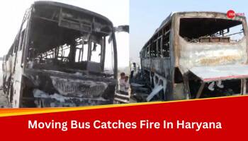 8 Dead, Several Injured As Moving Bus Catches Fire In Haryana's Nuh