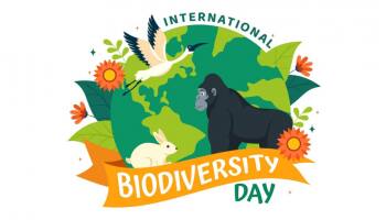 International Day For Biodiversity 2024: Date, Theme, History, Significance And More