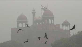 Delhi Air Pollution: AQI Remains 'Severe'; GRAP-III Imposed, Primary Schools Shifted Online, Check DMRC Advisory