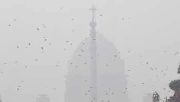 Delhi Air Pollution: AQI Reaches 'Severe Plus' Level, GRAP-IV Implemented, Primary Schools Closed