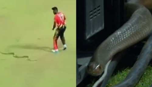 Watch: Snake trouble continues in LPL, pacer Isuru Udana makes