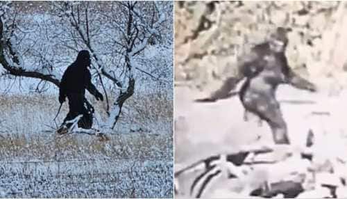 Bigfoot Sighting In Colorado? Viral Video Captures Mysterious Bipedal  Creature During Rafting Tour | WATCH | viral News | Zee News