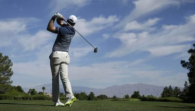 Martin Laird, Stewart Cink share US PGA Tour Las Vegas lead
