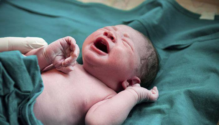 Chhattisgarh infants death: Health minister gives clean chit to hospital, Congress demands resignation Chhattisgarh infants death: Health minister gives clean chit to hospital, Congress demands resignation