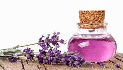 Scent of lavender helps you trust people more