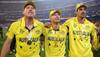 James Faulkner got his clothes off in World Cup afterparty: Brad Haddin