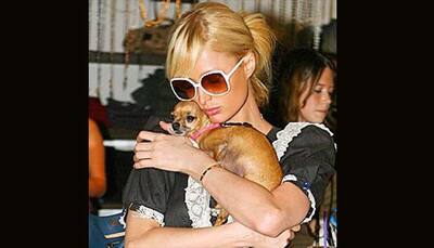 Paris Hilton mourns pooch Tinkerbell's death 