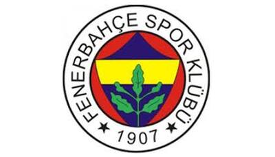 Turkey's top clubs Fenerbahce, Besiktas name new managers