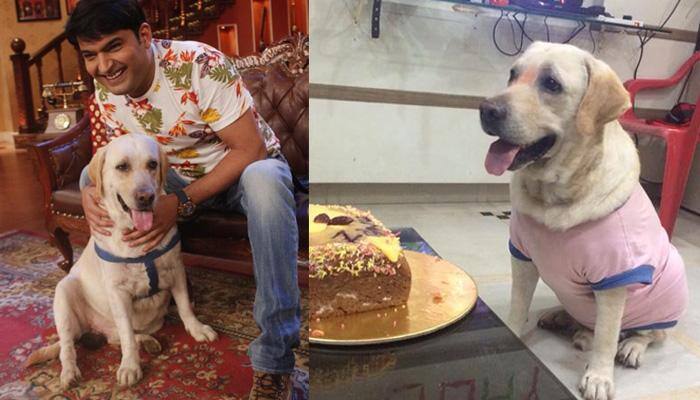 'Comedy Nights With Kapil' cast in new PETA campaign 'Comedy Nights With Kapil' cast in new PETA campaign
