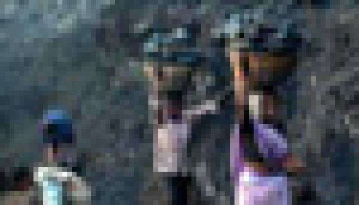Coal India's base issue size of 5% fully covered  
