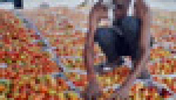 New retail inflation series to be released today