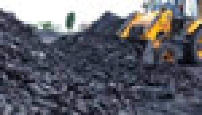 HC halts final bidding for three Chhattisgarh coal blocks
