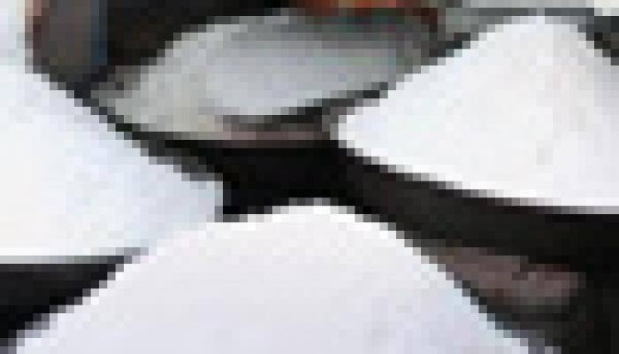 CCEA approves export subsidy on raw sugar for up to 1.4 mn tn
