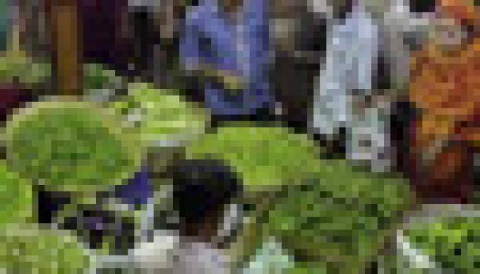 Vegetable prices rise by up to 67% over the last 5 days