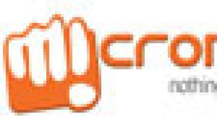 Micromax in talks to sell one-fourth stake to Alibaba: Report